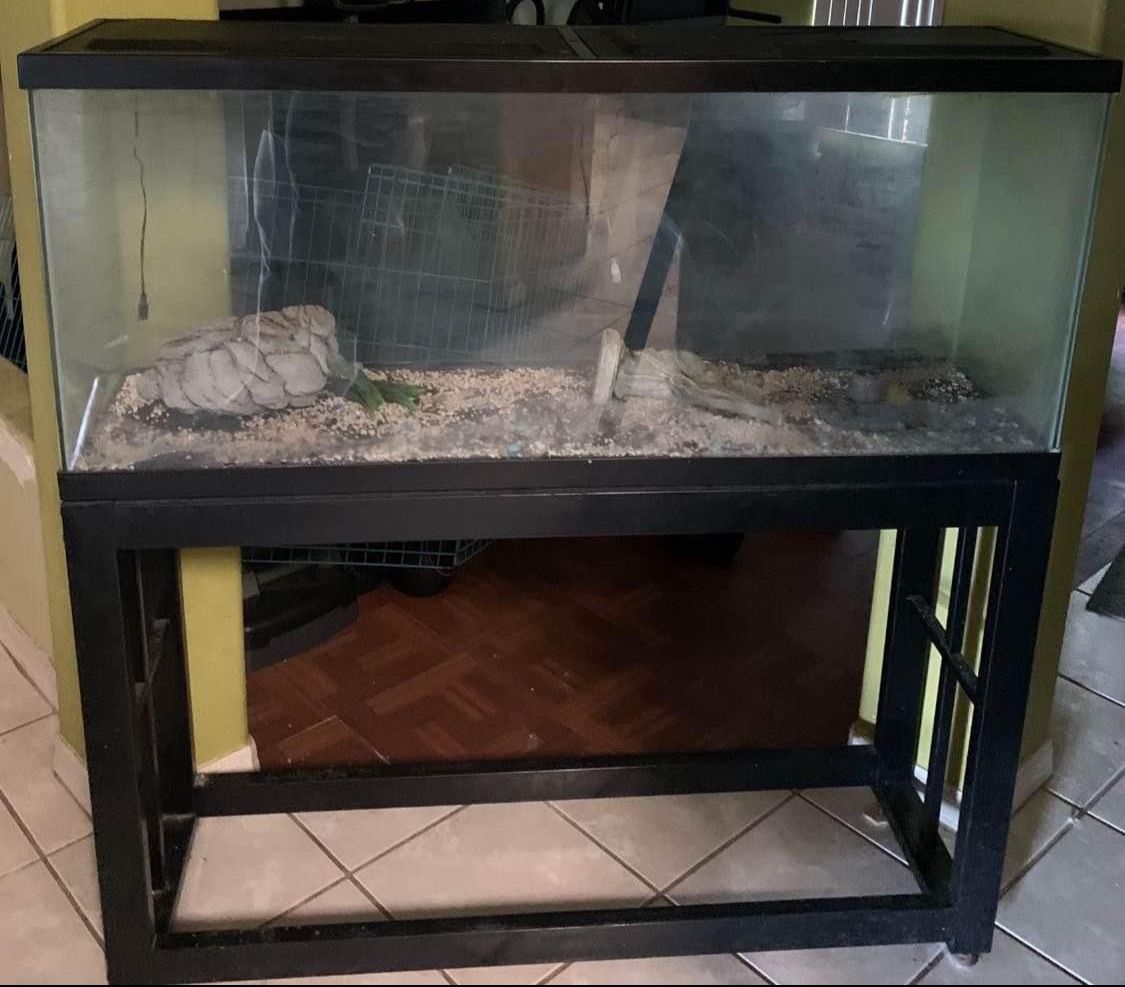 Aquarium With Stand
