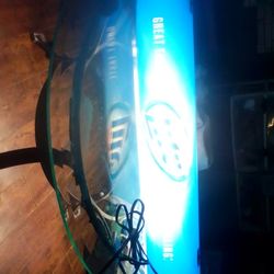 Miller Lite Pool Light 