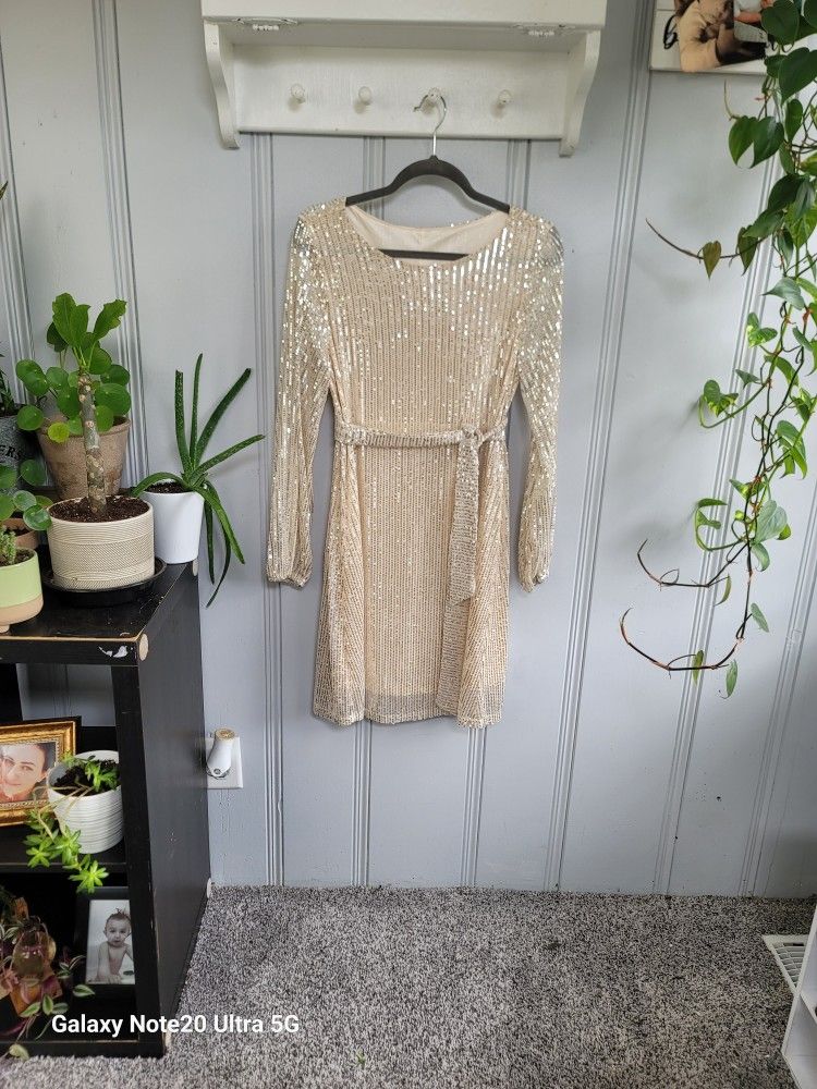 Sequin Dress