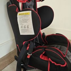 Recaro Car Seat