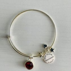 Alex and Ani Garnet Charm Bracelet 