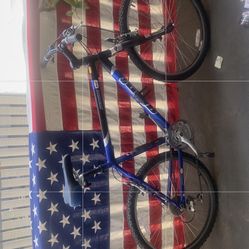 Giant mountain bike, large frame