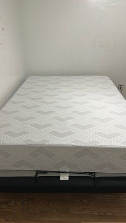 Foam Mattress (Queen)