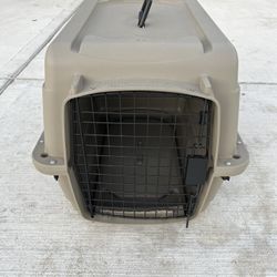 Pet Kennel 
