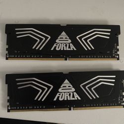 Neo Forza Faye 32GB (2 x 16GB) DDR4-3600 PC4-28800 CL18 Dual Channel