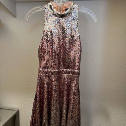 silver/pink sequence dress