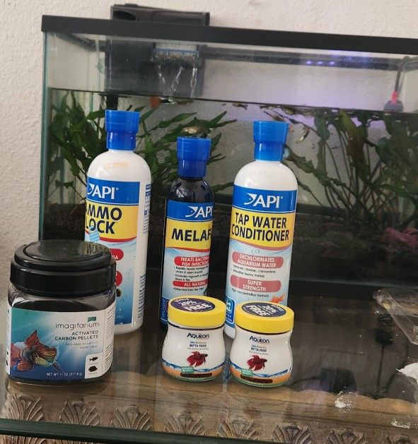 Fish Aquarium