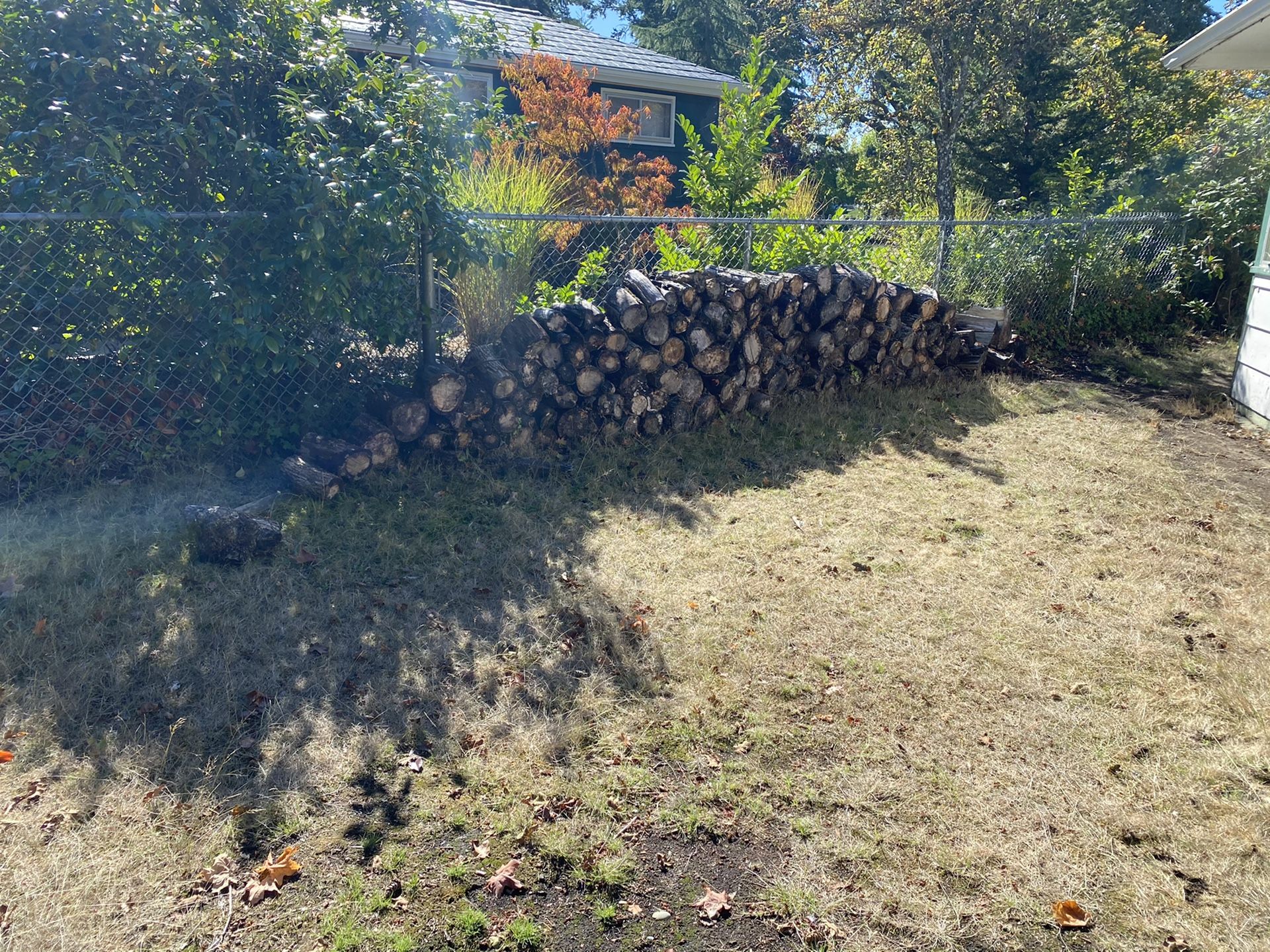 Free firewood. You haul away. Message me for details