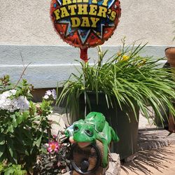Tequila Frog 