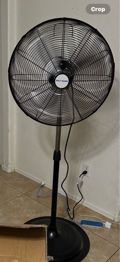 Fan