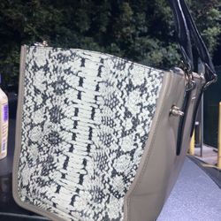 Coach Purse + Wallet 