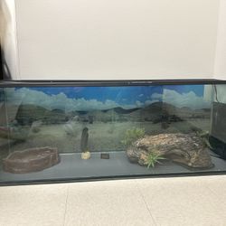 Reptile Terrarium