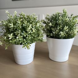 Set of 2 Artificial Potted Plants – Small Tabletop Decor