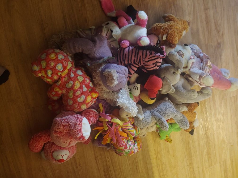 Stuffed animals