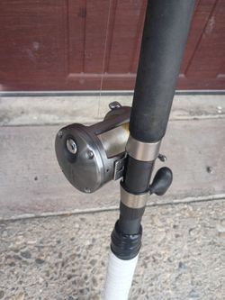Fishing rod