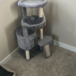 Cat Tree 