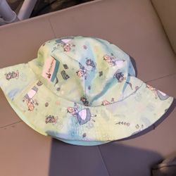 Disneyland Hat