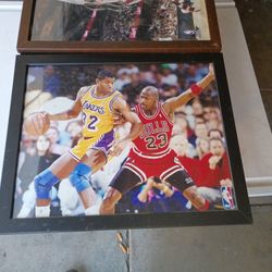 Framed NBA Michael Jordan And Magic