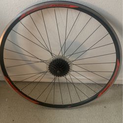 versa cora’s road bike wheels