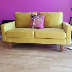 Velvet Loveseat