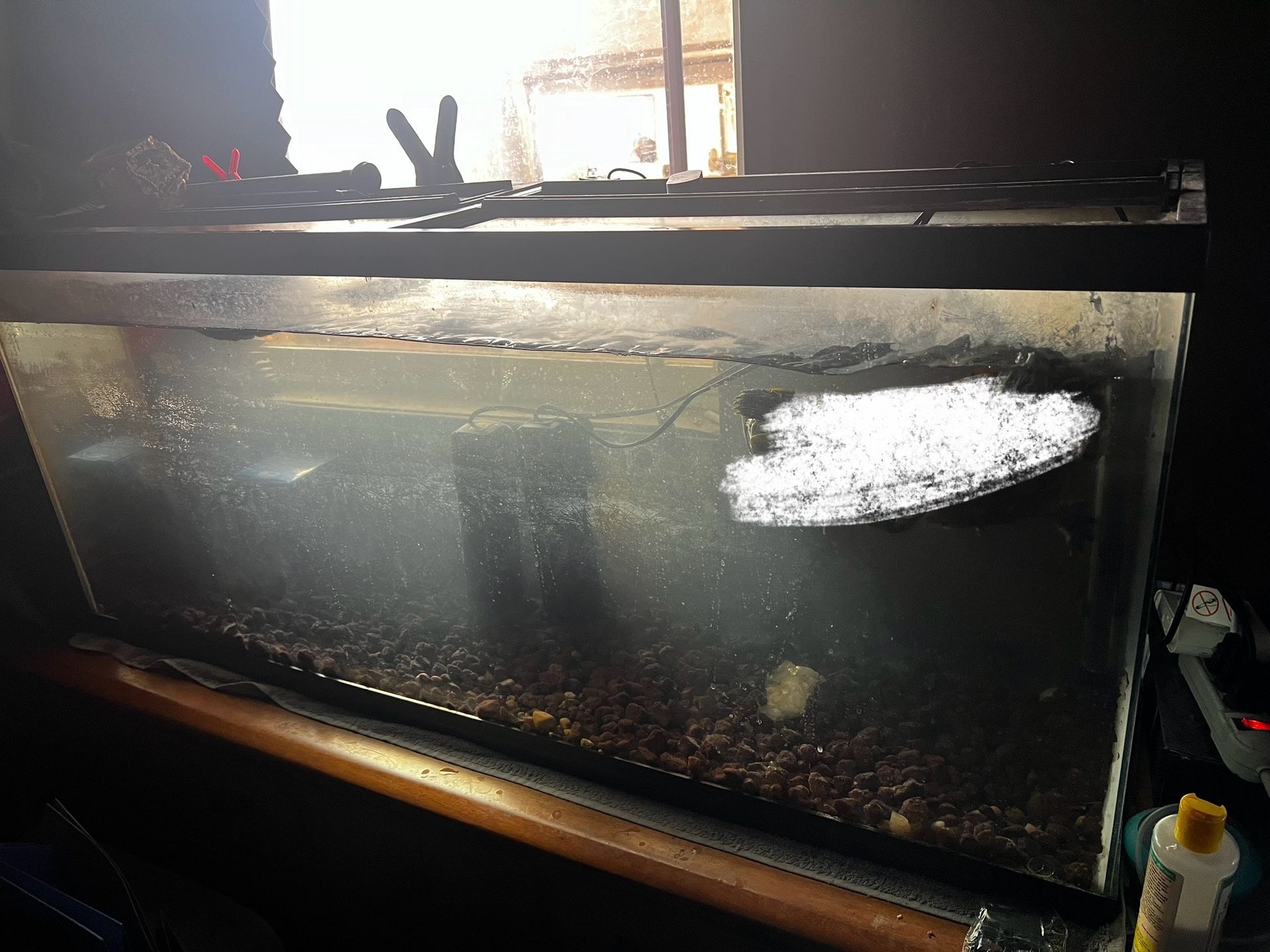 Turtle Tank With Stand/fish Tank 