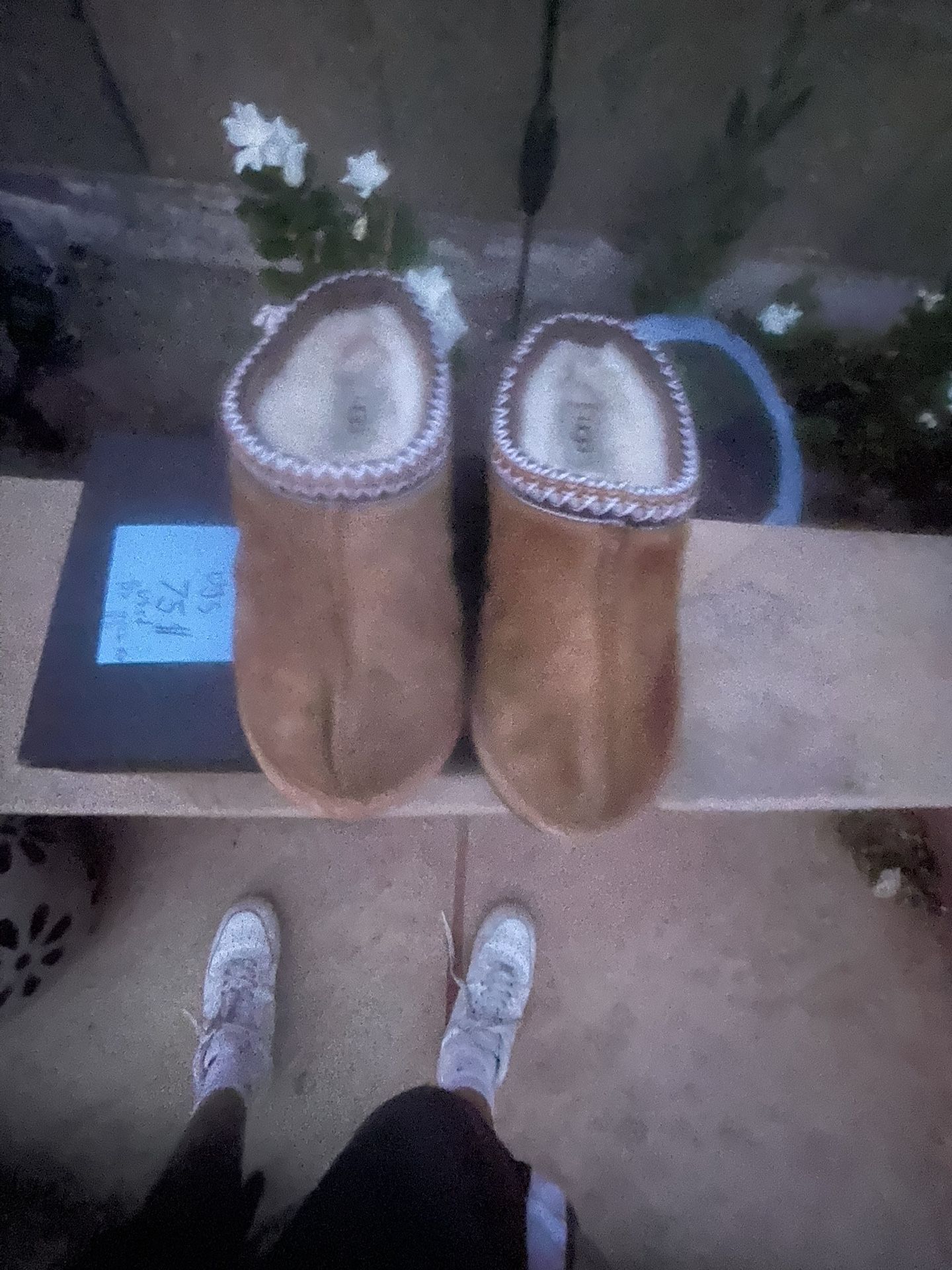UGG slippers 