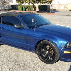 2008 ford mustang gtc