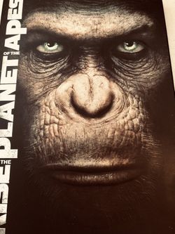 The Rise Of The Planet Of The Apes 