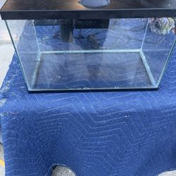 Betta Aquarium