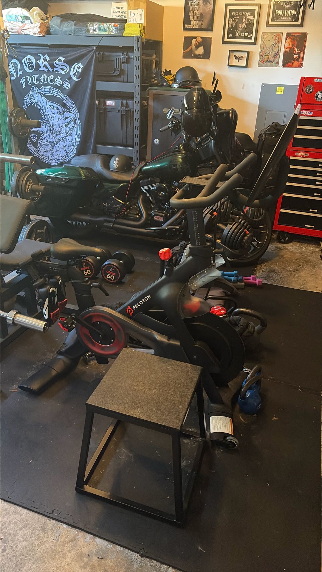 Peloton Home Gym Bike