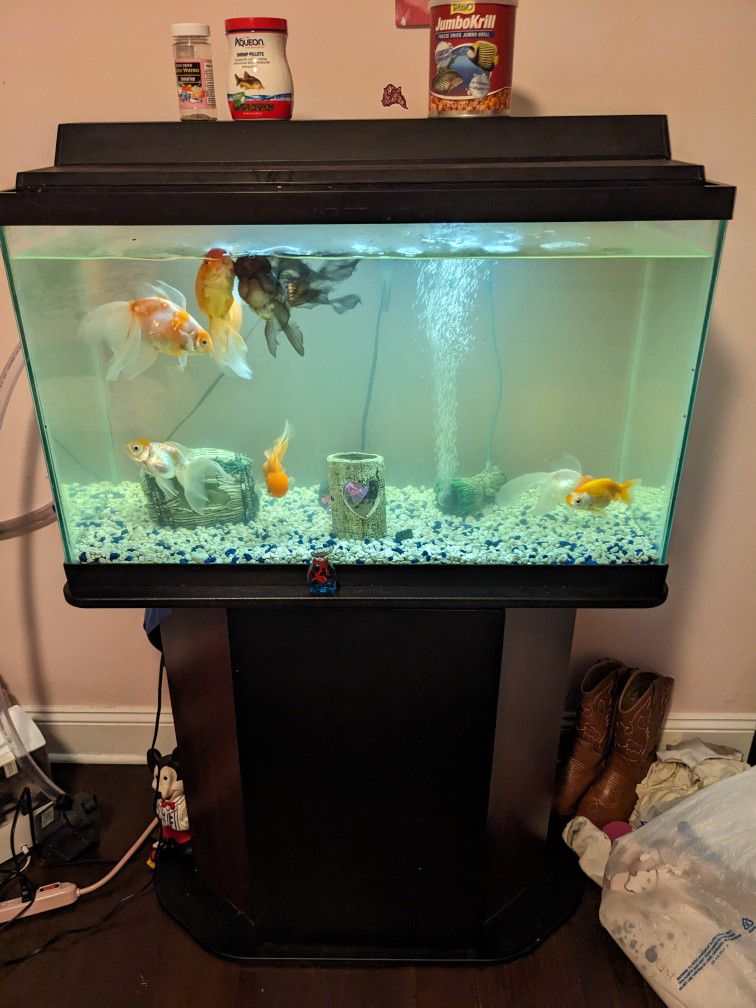 29 Gallon Fish Tank Aquarium 