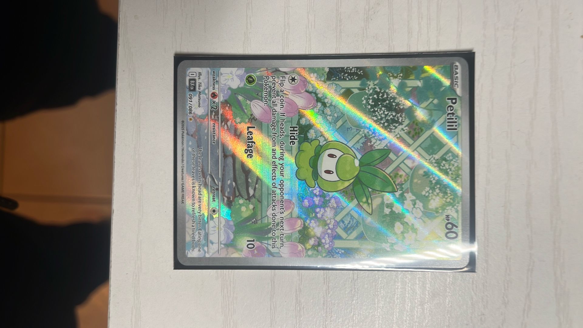 Pokémon Black Bolt Petilil 091/086