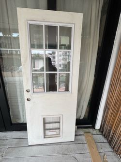 Door with doggie door
