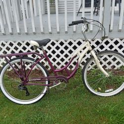 Nice Schwinn 6 Speed Cruiser Bike With New Chain And Back The Railer Ready To Ride 26 In