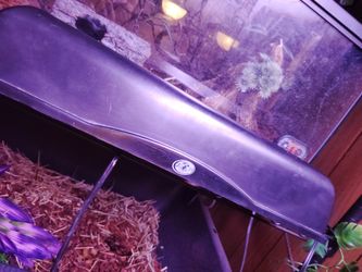 DUO Reptile Light Fixture