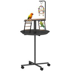 Bird Stand 