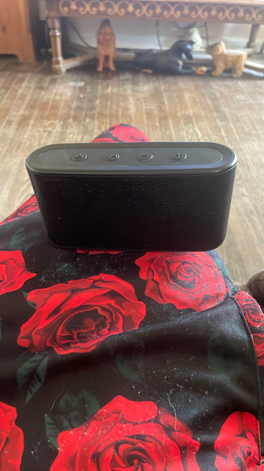 Speaker