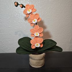 Crochet Orchid For Sale