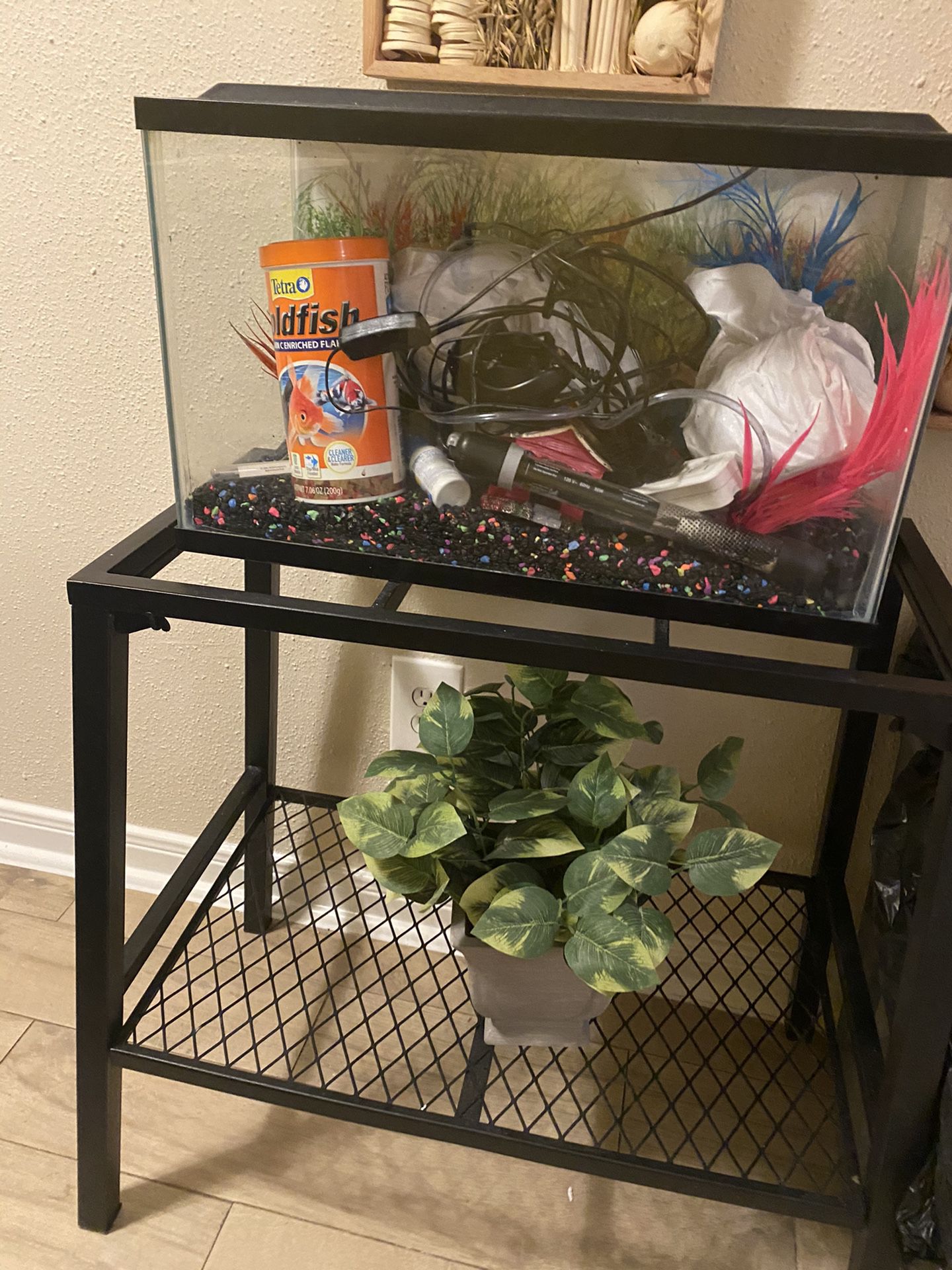 Fish tank With decorations and filter