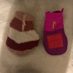 Pink Dog Sweaters For Winter