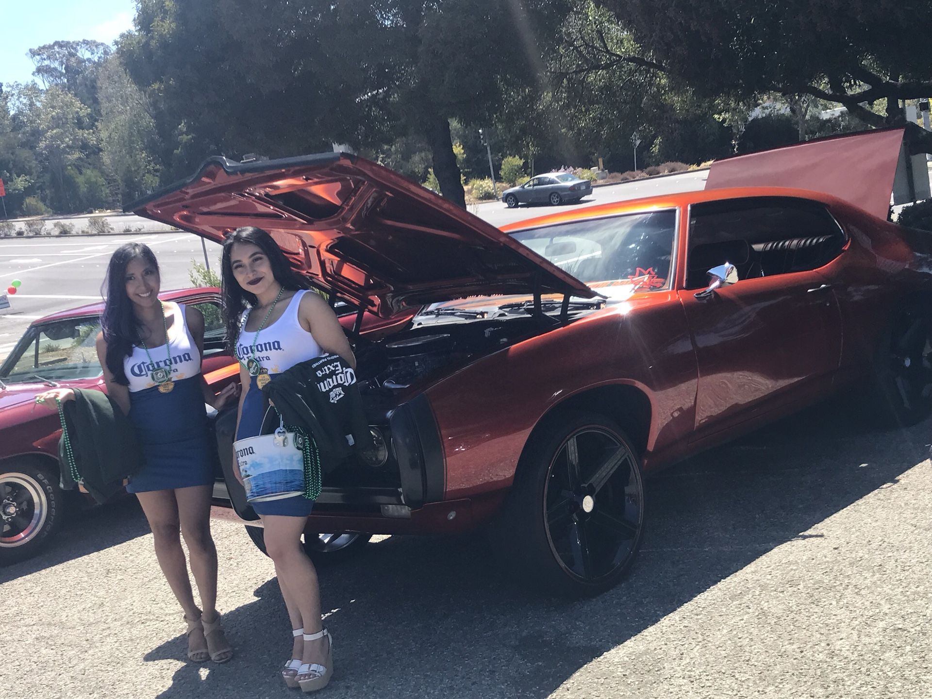 1969 Pontiac Lemans