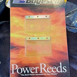 Boyesen 2 Stroke Reeds