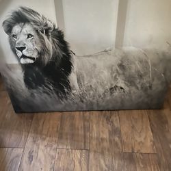 Canvas Lion Photo