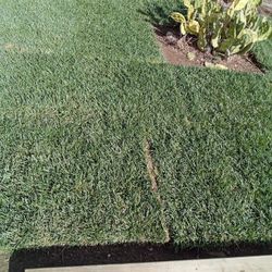 Grass 17 Small Rolls  