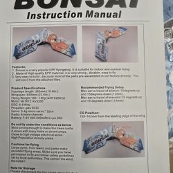 Bonsai EPP flying wing
