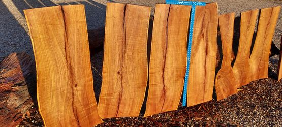 Wide Live Edge Mesquite Project Slabs