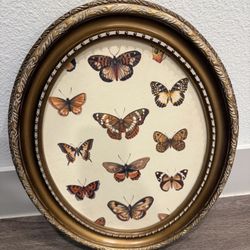 Butterfly Frame