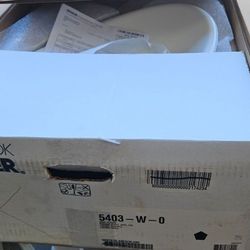 Kohler Iron Plains Wading Pool Oval Sink 