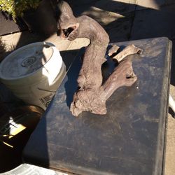 #5. Drunk Tree Invitation For A Reptiles Serious Fires Please