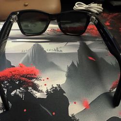 Rayban Meta 2 Polarized 